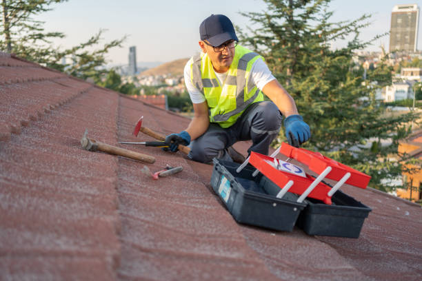 Best Attic Cleanout  in Kapaa, HI