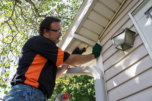 Best Hoarding Cleanup  in Kapaa, HI